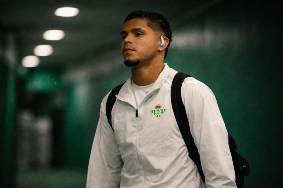 Cucho llegando a La Cartuja