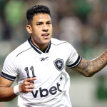 Matheus Martins celebrando un gol con Botafogo