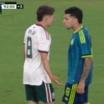 Pelea fidalgo
